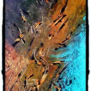 Img_20120916_142934_edit0_card