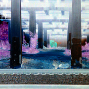 Overpass_inverted_card