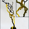 Curly_hazel-dots_thumb
