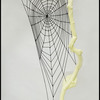 Web_thumb