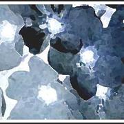 Bleu-brenda-garacci_card