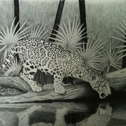Jaguar_card