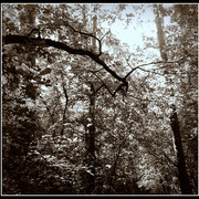 ______3903_card