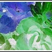 1-mardi-gras-brenda-garacci_card