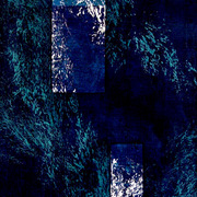 No°_16-2005_55x33_card