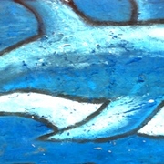 Delphin_card