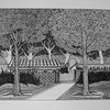 Dsc00847_thumb