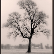 Off_kilter_card