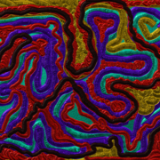Intestinal_galaxy_card