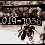 Dsc_0016_card
