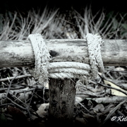 Dsc_0126_card