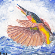 Img_card