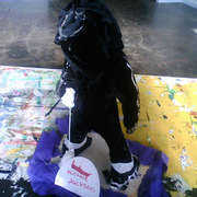 Mj_card