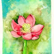 1lotus_card
