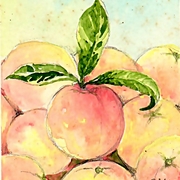Fruit_card