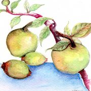 Img062_card