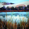 The_pond_thumb