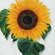 Girasol_card