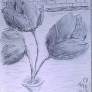 Flowers_beyond_a_house_card