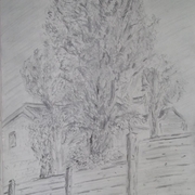 Treesoveragardenfence_2011_1320_card