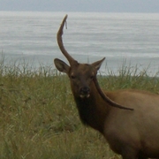 Cimg3713_card