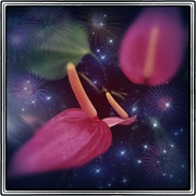 Spaceflower_card