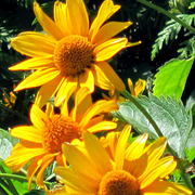 Img_1487_card