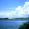 Pic6_thumb