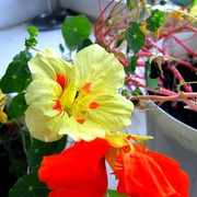 Img_0810_card