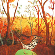 18woodthrush_card