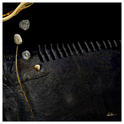 Inner_space_card