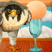 15peregrine_card