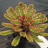 Dsc06732_thumb