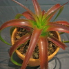 Dsc06735_thumb