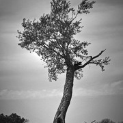 Img_4803_card