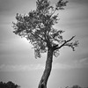 Img_4803_thumb