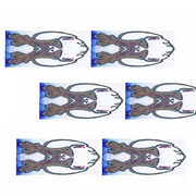 Glass_bowl_stable_card