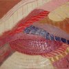 Indigenous_textures__1