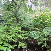Img_0704_card