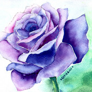 1rr_card