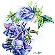 Img069_card