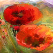 Poppies-alexandr_card