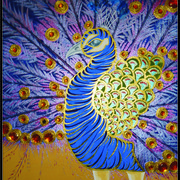 Picture15_card