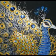 Picture19_card
