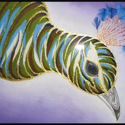 Picture25_card