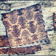 Image_card