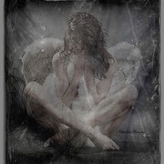 Guaze654_card