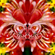 Evilmask_card