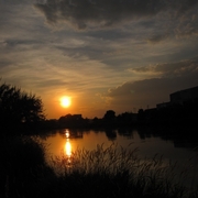 Sunset_reeds_card