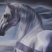 The_horse_card